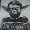 Picture of Marco Silva